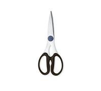 Zwilling take-apart Shears
