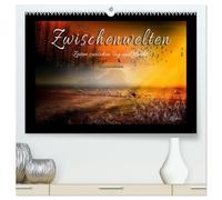 Zwischenwelten, Zeiten zwischen Tag und Nacht (hochwertiger Premium Wandkalender 2026 DIN A2 quer), Kunstdruck in Hochglanz: Folgen Sie dem ... mystisches Licht und zauberhafte Farben