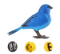zwxqe Toy Bird, Toddler Bird Toy, Realistic Talking Pet, Sensory Play Birds for Engaging Young Children in Interactive Learning and Imaginative Play Birthdays Classroom Activities