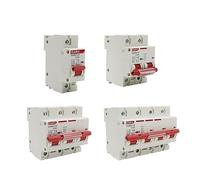 ZWXYKQBXG 1pc DC 1000V 1P 2P 3P 4P 80A 100A 125A Mini Interruttore Solare Interruttore di Protezione da sovraccarico MCB for impianto fotovoltaico fotovoltaico(100A,DC 3P)