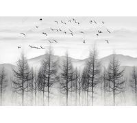 ZXCHEE Carta Da Parati 3D Uccelli Della Foresta Bianca E Nera Fotomurali Gigante Design Muro Poster Decorazione -ZX32195-200x140cm