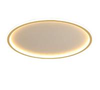 ZXDTVFGN Lampada da soffitto con Montaggio a Filo e Barra Siliclight, Moderna, Sottile e Minimalista, dimmerabile, vicina alle luci per Camera da Letto, Cucina, Soggiorno, Bianco l