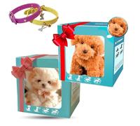 ZXDZSW Nuovo cane robot con intelligenza artificiale del 2025, RobotDog che si comporta come un vero cane, cani robot di peluche interattivi for adulti, camminano, abbaiano, scodinzolano(B+c)