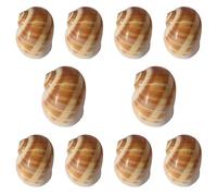 ZXGRfdefa Conchiglia, Confezione da 10 La Bocca della Vite è di Circa 3 ~,5 cm Decorazioni