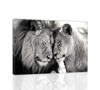ZXHYWYM Stampa artistica da parete con leone e leonessa in bianco e nero con immagine di fauna selvatica, opera d'arte su tela moderna per la casa e il soggiorno (B, 30,5 x 45,7 cm)