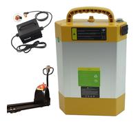 ZXLLAFT 48V Batteria per Carrello Elevatore Elettrico 24V Batteria al Litio 28Ah 20Ah Batterie LiFePO4 Batterie Ricaricabili per Transpallet CBD15/20J-LI2 con Can,24v28ah Rhombus Charger