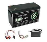 ZXLLAFT Batteria al Litio 12V Batteria LiFePO4 a Ciclo Profondo