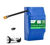 ZXLLAFT Batteria al Litio per Auto elettrica da 36 V, 2,6 Ah, 3,6 Ah, 4 Ah, 5 Ah, ad Alta capacità, Adatta per Motori di Auto e Scooter.,36v5ah