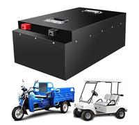 ZXLLAFT Batteria LiFePO4 per Moto da 48 V, Batteria al Litio Ferro fosfato da 48 V, 55 Ah, 70 Ah, per Motore di Triciclo da Golf Cart da 2700 W e 3400 W.,48v55ah