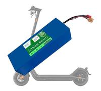 ZXLLAFT Pacco Batteria al Litio da 48 Volt 48 V 5,2 Ah 7,8 Ah 10,4 Ah 13 Ah 15,6 Ah Batteria agli ioni di Litio per Kit Motore da 250 W, 350 W, 500 W, 600 W e 750 W,48v5.2ah