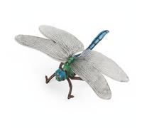 Zxpjkyu Insetto Figura Modello Simulato Texture Vivace Specie Variegate Apprendimento Manuale Funzione Espositiva Adatto per Docenti Studenti Ambienti Interni Ed Esterni, Libellula