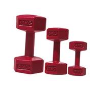 Zxpjkyu Set di 3 Mini Manubri, Statuette, Bilancieri, Accessori per Casa delle Bambole, Ornamenti in Lega, Adatti per Bambini, Regali, Decorazioni per Camera, Rosso