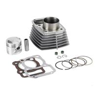 ZXYIWSDF Moto Testata del Cilindro Compatibile con Italika per DM125 2017 2018 2019 2020 2021 2022 Kit Guarnizioni Cilindro Pistone Cilindro Cilindro Cilindro Parte Motore da 56,5 Mm
