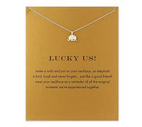 ZYAWP Collana con ciondolo a forma di bussola con biglietto di messaggio, argento, amicizia, sorelle, sole, buona fortuna, gru, collana a catena a Y per donne e ragazze, regalo, Zinco