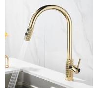ZYCDP Rubinetto Lavabo Cucina Estraibile in Ottone Rubinetto Cucina Girevole 360 con 2 Moda Oro