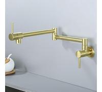 ZYCDP Rubinetto Lavello Cucina con 2 Manopole Miscelatore Cucina a Muro acqua Fredda Oro Spazzolato