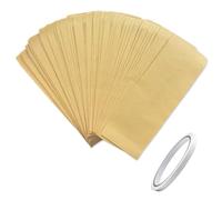 Zydiwo 100 Pezzi Mini Busta Di Carta Kraft Buste In Carta Kraft Riciclata Da Buste Di Sacchetti Piccoli Sacchetto Piatto Regalo Per Gioielli Sacchetto Di Semi con Nastro (6x16cm)