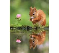 ZYHDK - Puzzle - 2000 Pezzi - Regali - Cute Squirrelss Immagini - Giochi Di Memoria E Cognizione Per Anziani - Giocattolo Per La Decompressione Degli Adulti - Gk310Aw