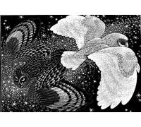 ZYHDK - Puzzle - 2000 Pezzi - Regali - Pittura - Colin Payton Black Poster White - Giochi Di Sfida Personalizzati Per Adulti - Decorazione Della Casa - JP92Aq
