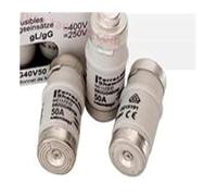 Zyhhlxh 4 FUSIBILI D01GG40V2 2A D01GG40V4 4A D01GG40V6 6A D01GG40V10 10A D01GG40V16 16A Few.