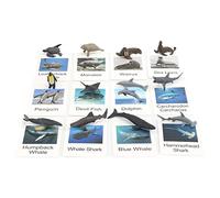 ZYIHNIRB 12 Pezzi Carte Figure Realistiche Mini Animali Abbinamento Gioco Educativo Materiale Cartaceo Adatto per Insegnamento Scuola Giochi, Animali Selvaggi