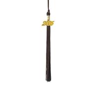 ZYKEJJDDAK Cappello di laurea nappe fascino classe del 2025 laurea cappello decorazione nappe per addio al celibato abito cerimonia e