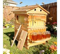 ZyKnaurral Kit Completo per Apicoltura Flows Hive - Set di Arnie Automatiche con Siste-ma di Estrazione del Miele Integrato per Apicoltura Domestica, Arnia in Stile Casetta.