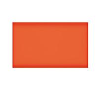 ZYLARUM Silicone Griddle Mat | High Temp Tolerant BBQ Mat for Indoor/Outdoor Cooking | Particleproof Grill Guard with Easy Wipe Top | 987g Heavy Duty (43.2cm / 17in)