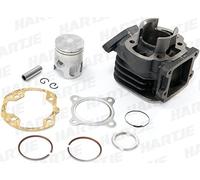 zylinderkit 50 CCM per Minarelli in piedi