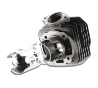 zylinderkit MALOSSI Sport 70 CCM per Honda dio ZX af35