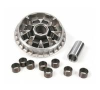 zylinderkit MALOSSI variator MULTIVAR 2000 per Honda Forza (08)