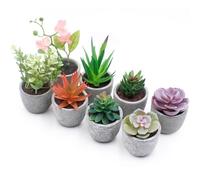 Zyluniy Piante Artificiali, 8Pcs Finte Succulente in Vaso, Set Piante Artificiali, Piante Grasse Artificiali per Tavolo, Bagno, Ufficio e Balcone, Piante Decorative Artificiale con Vaso