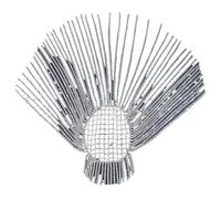 Zymjzbetic Glitter Rhinestone Long Fringed Hair Chain Headband Hat Stage Performance for Women Headpiece Head Chain per Occasioni Speciali e FESTIVITÀ(Silver)