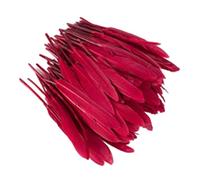 Zymoplas 100 pz/set Accessori Naturali Antigraffio Eleganti Mestieri di Piume per Vestiti Boho Piume Tinti Fai da Te Ecologici, Borgogna