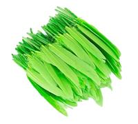 Zymoplas 100 pz/set Accessori Naturali Antigraffio Eleganti Mestieri di Piume per Vestiti Boho Piume Tinti Fai da Te Ecologici, Verde