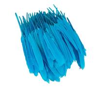 Zymoplas 100 pz/set Accessori Naturali Antigraffio Eleganti Mestieri di Piume per Vestiti Boho Piume Tinti Fai da Te Ecologici, Cielo blu