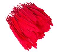 Zymoplas 100 pz/set Accessori Naturali Antigraffio Eleganti Mestieri di Piume per Vestiti Boho Piume Tinti Fai da Te Ecologici, Rosso