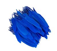 Zymoplas 100 pz/set Accessori Naturali Antigraffio Eleganti Mestieri di Piume per Vestiti Boho Piume Tinti Fai da Te Ecologici, Blu Klein