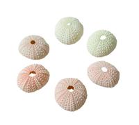 Zymoplas 10pcs Multi Color Options Conch Shell Flower Pot Decoration - Living Space Chemical Sea Urchin Shell Base in Vaso
