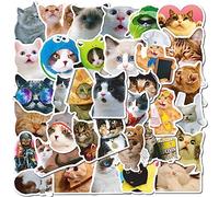 ZYMR Adesivi per gatti divertenti - 50 adesivi impermeabili per gli amanti dei gatti | Valigia, portatile, bottiglie d'acqua, auto, skateboard