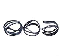 ZYNCUE Striscia di tenuta per portiera auto 2012-2017, parte di ricambio Weatherstrip 82130-2V000 82140-2V000 83140-2V000, modanatura esterna nera per modanatura esterna sinistra anteriore destra