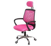 ZYSKABQ Modern Office Desk con sedia girevole ascensore regolabile e gioco con cornice nera con mesh verde e rosa Octopus feet