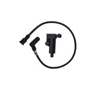 ZyuAip Bobina di accensione for HS400 500 UTV CODICE 33101-113E00-0000 CODICE ERP P113E00331010000 P116000331000000