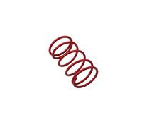 ZyuAip Molla di Coppia for Scooter da Corsa 1000 1500 2000 Giri/min for 50 50cc 4T(2000RPM)