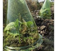 ZYWUOY Confezione da 12 campane per piante, in plastica trasparente, riutilizzabili, per protezione dal vento e dal gelo, cupole rotonde per serra per casa e giardino, 20 x 20 x 24 cm