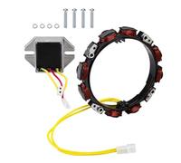 ZYWUOY La bobina dello statore dell'alternatore con il regolatore 2-Pin 10-16A per il motore sostituisce 592830 696458, costruzione del metallo per l'attrezzatura all'aperto