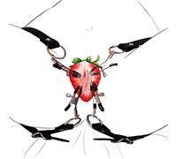 ZYYZD Clip Sparticante Labia Capezzolo Clitoris Morsetti Bondage Kit Giochi for Adulti Stimolatore Vagina