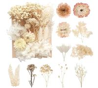 ZZHBOO: fiori secchi e fiori stabilizzati, pini, materiali per il fai da te, ideali per candele, cornici e aromaterapia, nei colori bianco e rosso