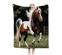 ZZXHG Coperta Plaid Matrimoniale in Pile 180x200, Cavallo Colorato, Coperta Termica Letto Matrimoniale Invernale di Flanella in Microfibra, Coperta Divano Copriletto Sherpa per Adulti_j1198