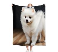 ZZXHG Coperta Plaid Matrimoniale in Pile 180x200, Pomerania, Coperta Termica Letto Matrimoniale Invernale di Flanella in Microfibra, Coperta Divano Copriletto Sherpa per Adulti_706a